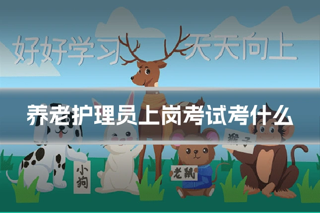 养老护理员上岗考试考什么