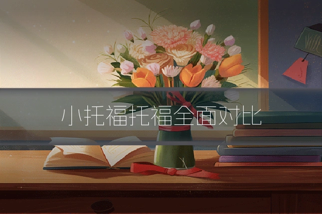 小托福托福全面对比