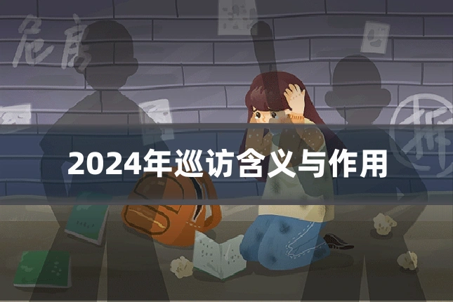 2024年巡访含义与作用