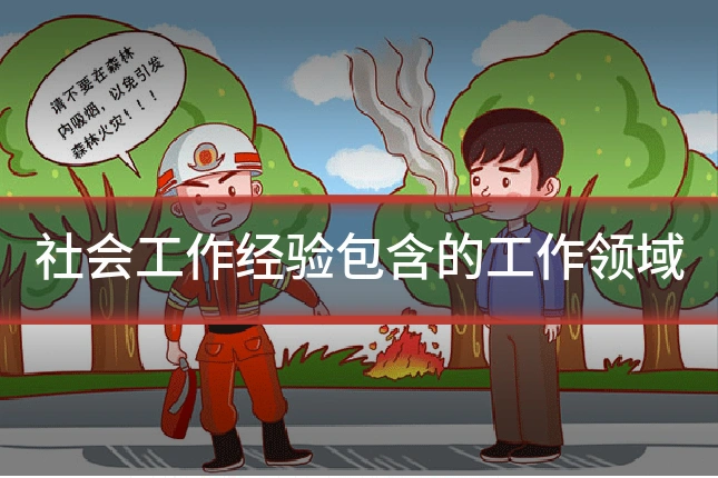 社会工作经验包含的工作领域