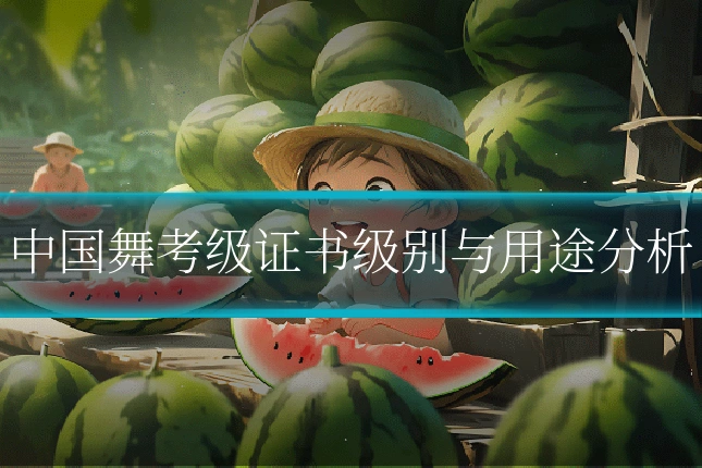 中国舞考级证书级别与用途分析