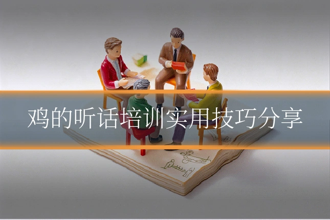 鸡的听话培训实用技巧分享