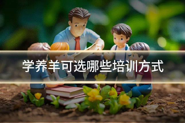 学养羊可选哪些培训方式