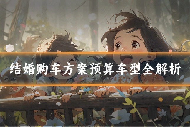 结婚购车方案预算车型全解析