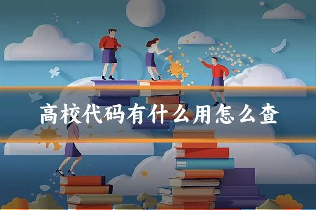 高校代码有什么用怎么查
