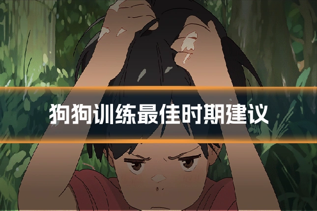 狗狗训练最佳时期建议