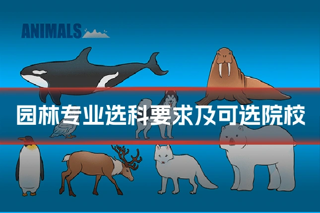 园林专业选科要求及可选院校