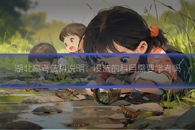 湖北高考选科说明：没选的科目需要学考吗
