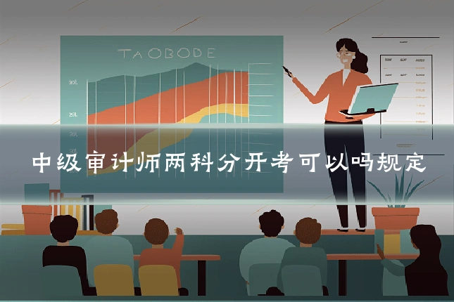 中级审计师两科分开考可以吗规定