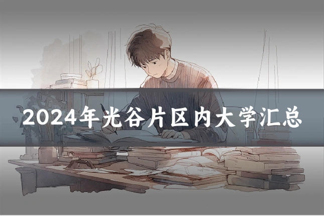 2024年光谷片区内大学汇总