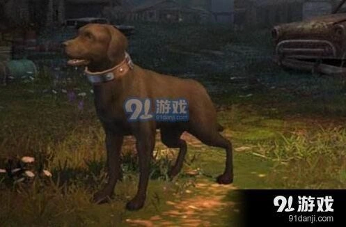 明日之后职业对比：挖矿和采麻哪个好
