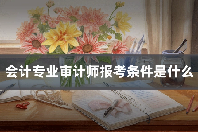 会计专业审计师报考条件是什么