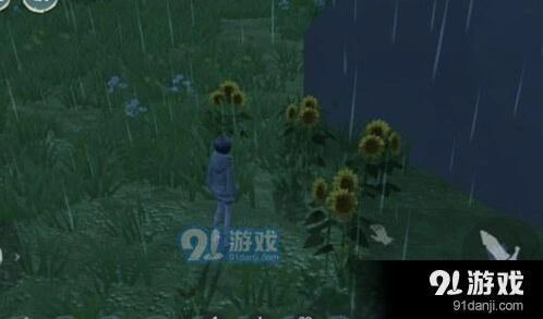 创造与魔法向日葵获得位置与作用说明