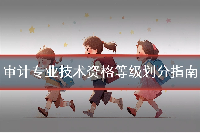 审计专业技术资格等级划分指南