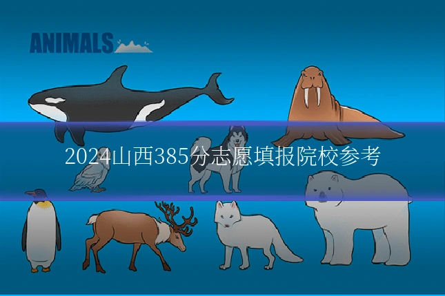 2024山西385分志愿填报院校参考