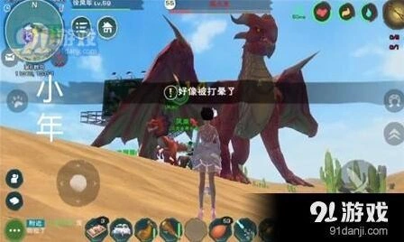 创造与魔法飞龙击晕炸弹果攻略