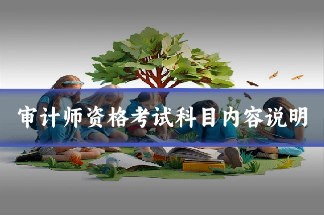 审计师资格考试科目内容说明