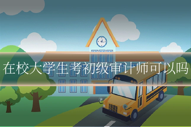 在校大学生考初级审计师可以吗