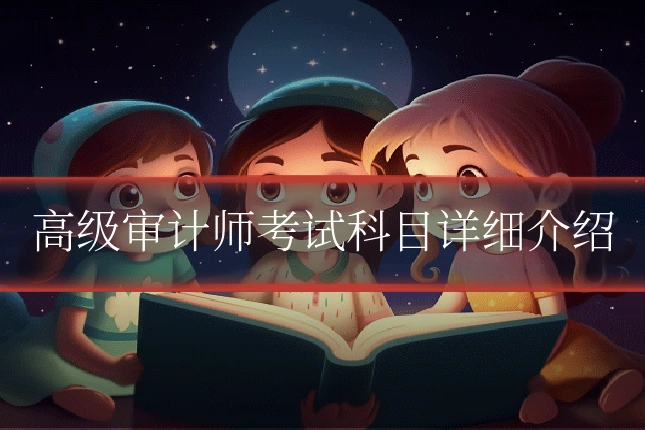 高级审计师考试科目详细介绍
