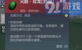妄想山海应龙捕捉与养成全面攻略指南