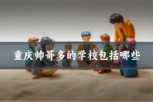 重庆帅哥多的学校包括哪些