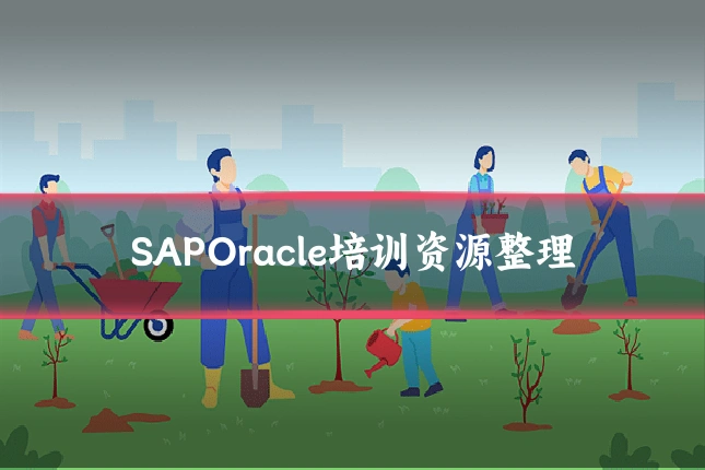 SAPOracle培训资源整理