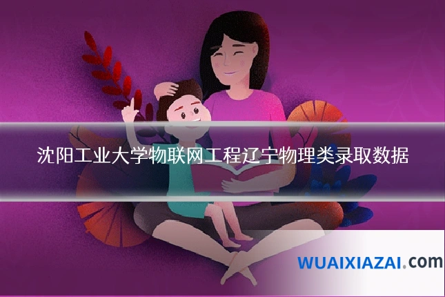 沈阳工业大学物联网工程辽宁物理类录取数据
