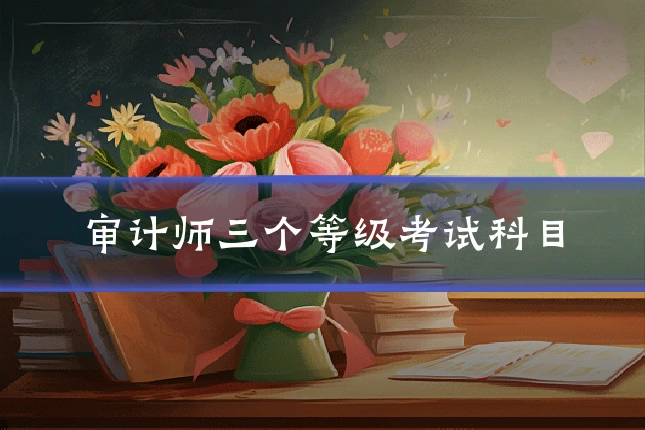 审计师三个等级考试科目
