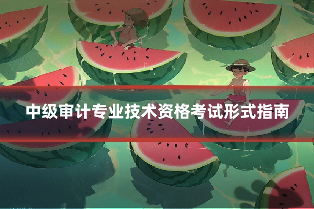 中级审计专业技术资格考试形式指南