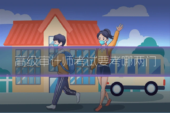 高级审计师考试要考哪两门