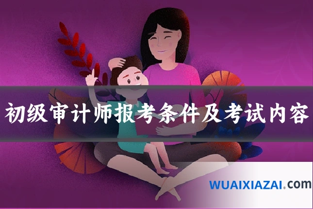 初级审计师报考条件及考试内容
