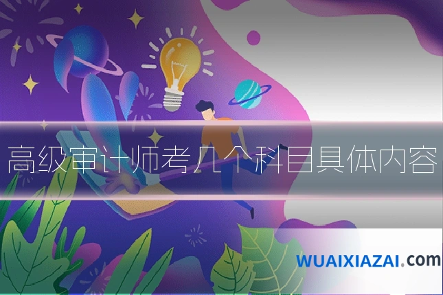 高级审计师考几个科目具体内容