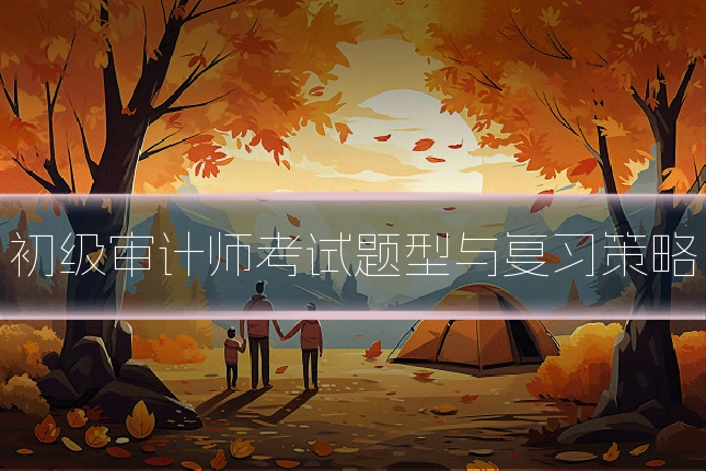 初级审计师考试题型与复习策略