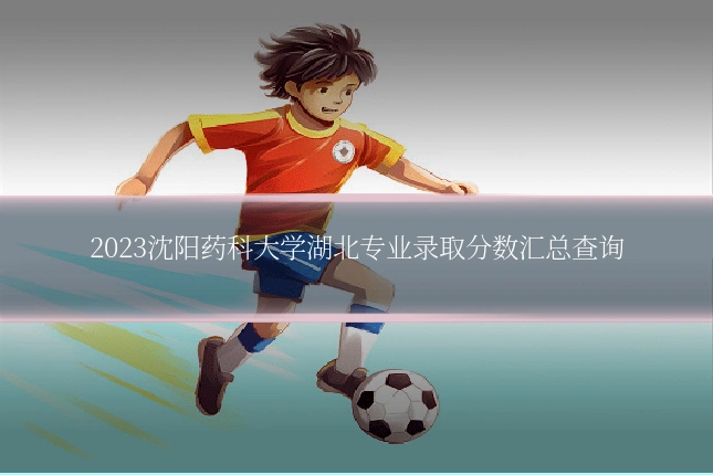 2023沈阳药科大学湖北专业录取分数汇总查询