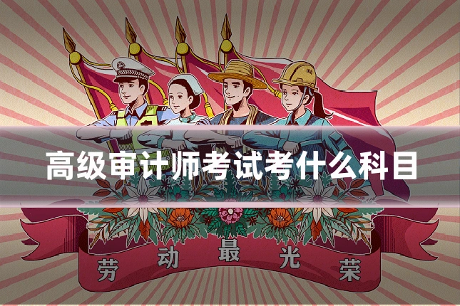 高级审计师考试考什么科目