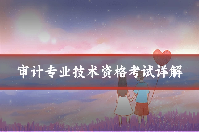 审计专业技术资格考试详解