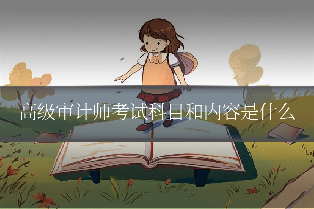 高级审计师考试科目和内容是什么