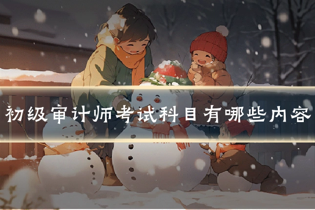 初级审计师考试科目有哪些内容