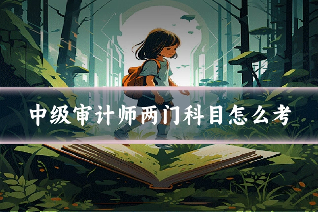 中级审计师两门科目怎么考