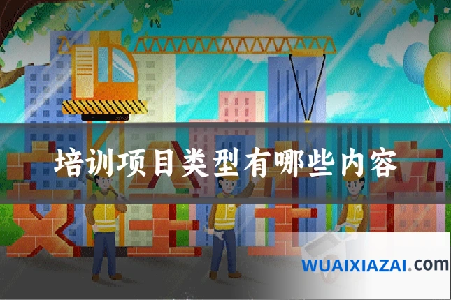培训项目类型有哪些内容