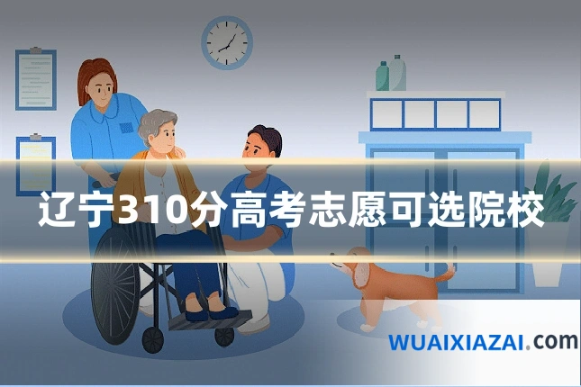 辽宁310分高考志愿可选院校