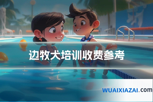 边牧犬培训收费参考