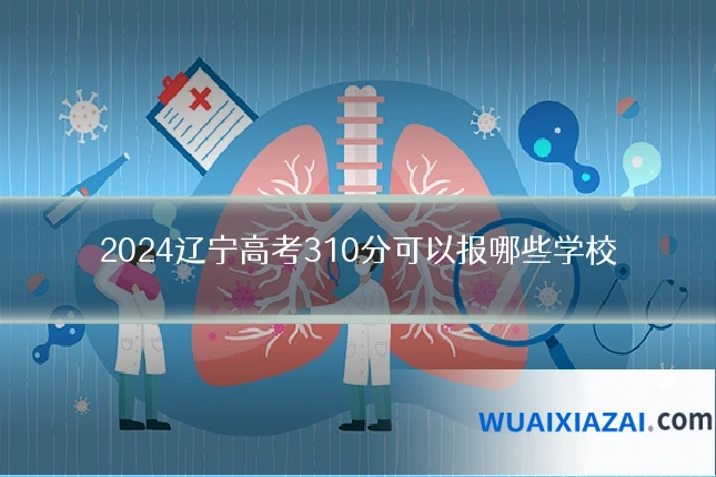 2024辽宁高考310分可以报哪些学校