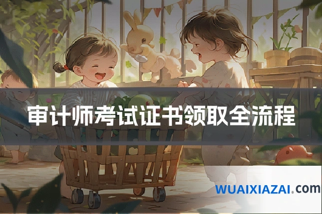 审计师考试证书领取全流程