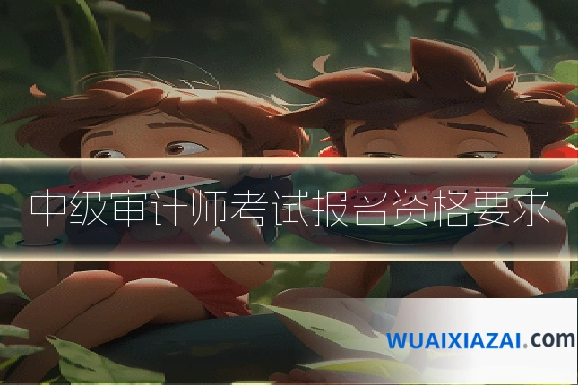 中级审计师考试报名资格要求