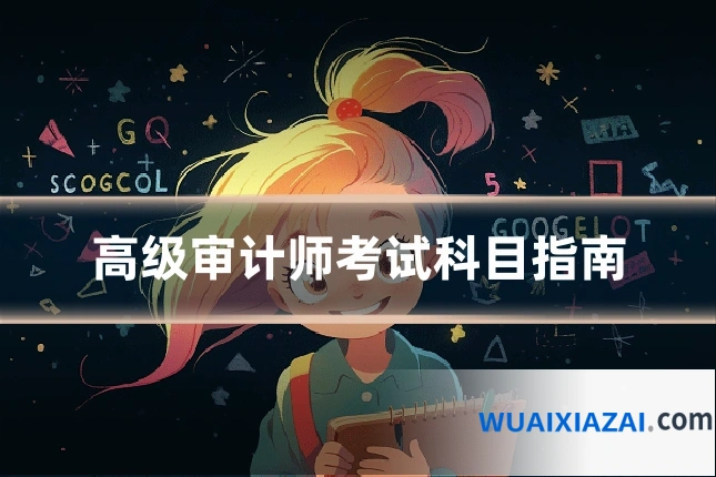 高级审计师考试科目指南