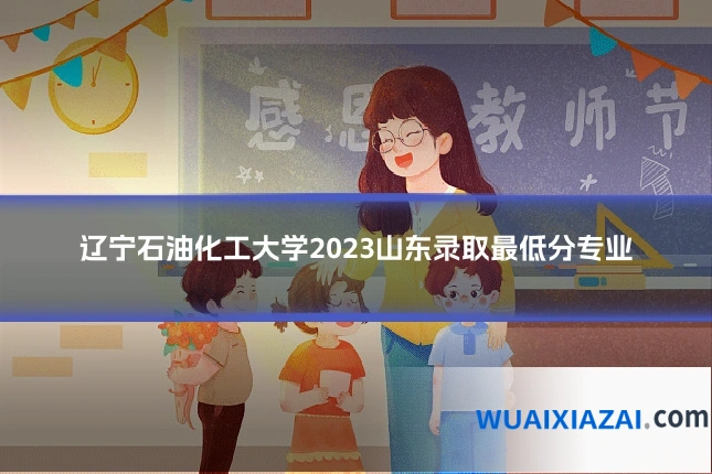 辽宁石油化工大学2023山东录取最低分专业