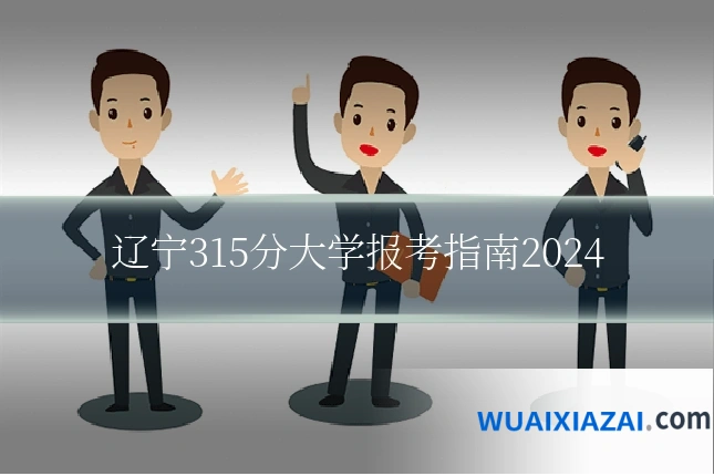 辽宁315分大学报考指南2024