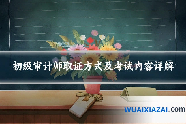 初级审计师取证方式及考试内容详解
