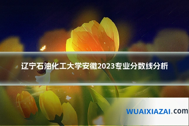 辽宁石油化工大学安徽2023专业分数线分析